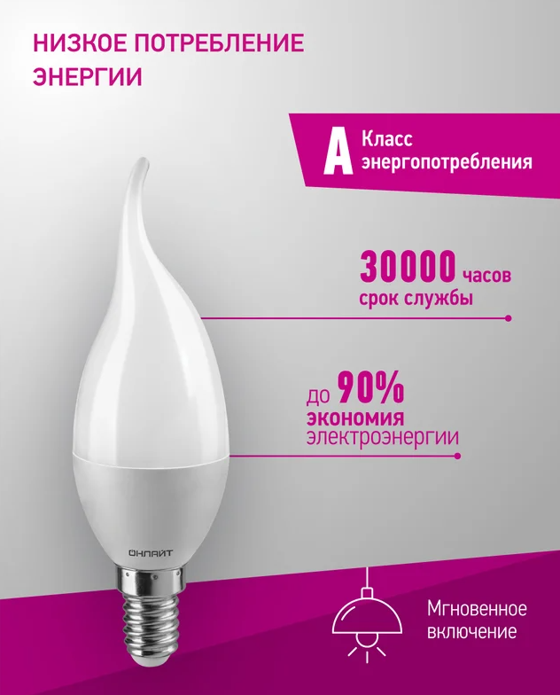 ООО «Проф-Лан»
