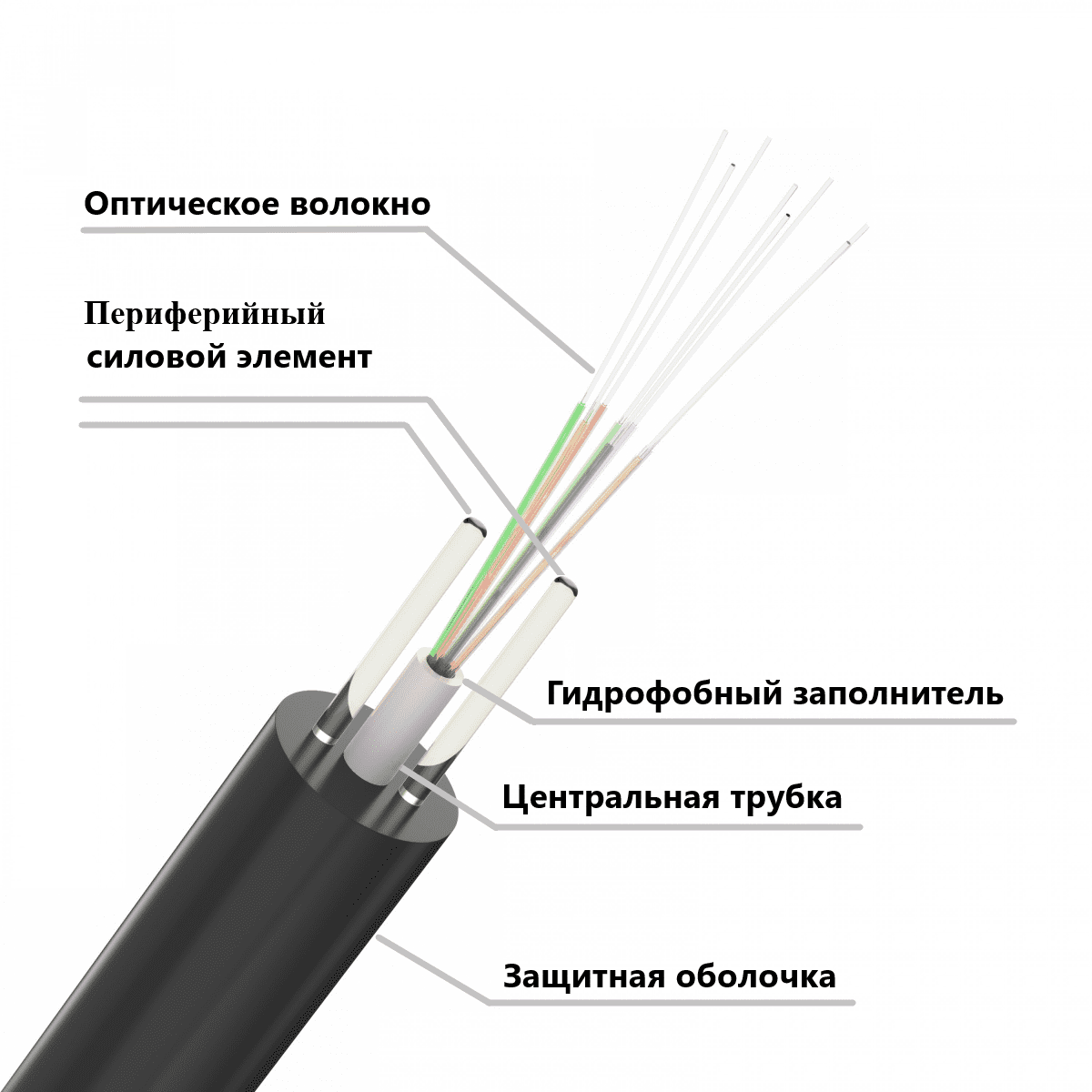 ООО «Проф-Лан»